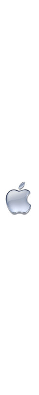 Apple Apple