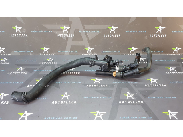 Б/у фланец системы охлаждения 800333515E, 1.9 DCI для Renault Megane II/ Scenic II