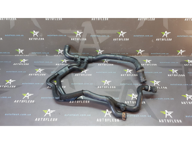 Б/у патрубки системы охлаждения 800299725 для Renault Clio II
