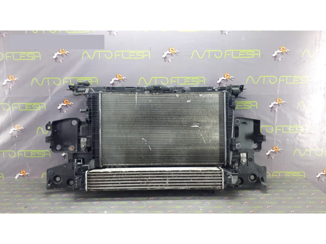 Б/у панель передняя в сборе 752100004R для Renault Megane III