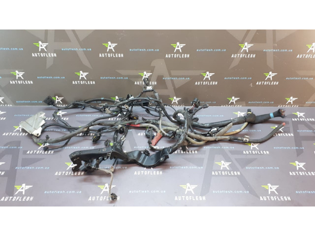 Б/у проводка двигателя A0005462480, OM642 3.0 CDI для Mercedes C-Class/ E-Class/ ML-Class/ S-Class