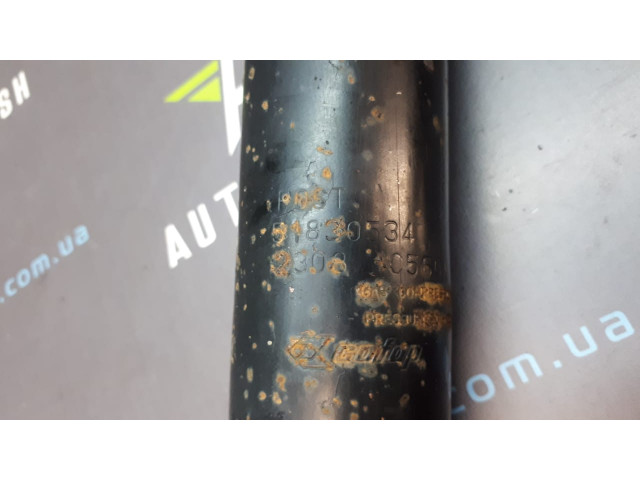 Амортизатор задній 51830534 Citroen Nemo Fiat Fiorino Qubo Peugeot Bipper Амортизатор задній 51830534 Citroen Nemo Fiat Fiorino Qubo Peugeot Bipper