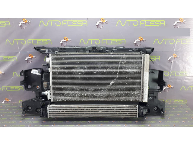 Б/у панель передняя/ телевизор 752100004R для Renault Megane III