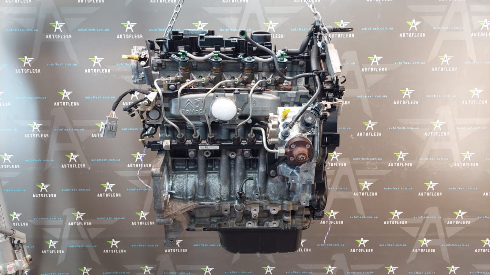 Б/у двигатель 9H06/ 9670461280, 1.6 HDi 8V для Citroen/ Ford/ Mazda/ Mitsubishi/ Peugeot/ Volvo