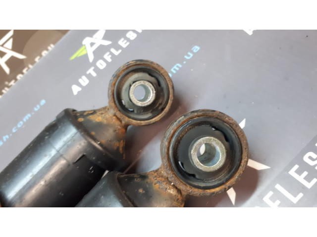 Амортизатор задній 51830534 Citroen Nemo Fiat Fiorino Qubo Peugeot Bipper Амортизатор задній 51830534 Citroen Nemo Fiat Fiorino Qubo Peugeot Bipper