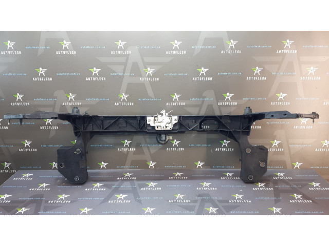 Б/у панель передняя 8200290143 для Renault Clio III Б/у панель передняя 8200290143 для Renault Clio III