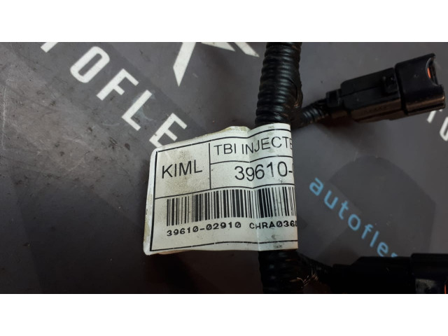 Б/у фишки форсунок/ коса/ разъемы форсунок 3961002910 для Hyundai Getz/ KIA Picanto Б/у фишки форсунок/ коса/ разъемы форсунок 3961002910 для Hyundai Getz/ KIA Picanto