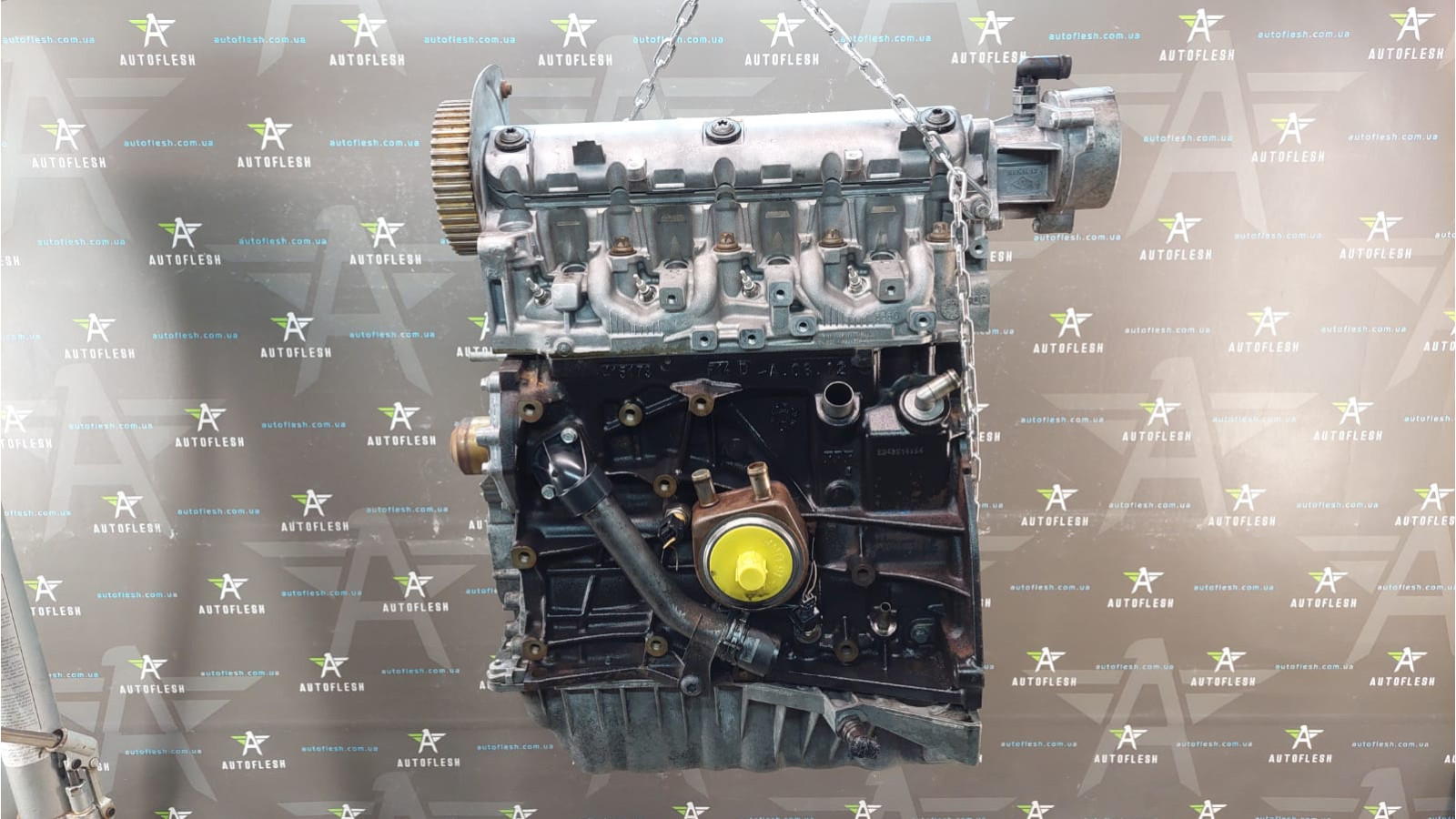 Б/у двигатель F9Q804, 1.9 dCi для Nissan/ Mitsubishi/ Opel/ Renault/ Suzuki/ Volvo