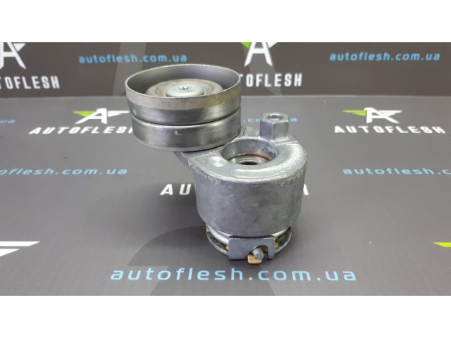 Б/у натяжитель ремня генератора/ натяжной механизм 8200673091 для Mitsubishi/ Nissan/ Opel/ Renault/ Volvo Б/у натяжитель ремня генератора/ натяжной механизм 8200673091 для Mitsubishi/ Nissan/ Opel/ Renault/ Volvo